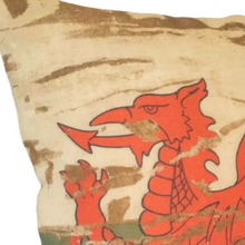 Load image into Gallery viewer, Stonewashed Welsh dragon close up of head