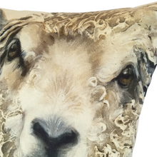 Load image into Gallery viewer, FARMYARD FACES SHEEP CUSHION COVER
