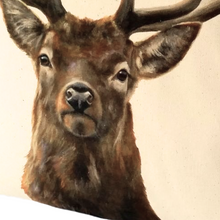 Load image into Gallery viewer, Stag cushion close up of face
