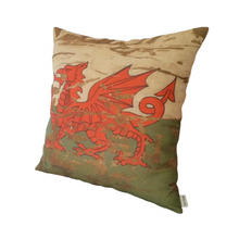 Load image into Gallery viewer, Stonewashed Welsh dragon on split background
