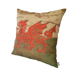Stonewashed Welsh dragon on split background