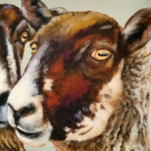 Load image into Gallery viewer, WELSH MULES SHEEP CUSHION COVER
