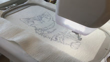Load and play video in Gallery viewer, Kitten with glasses video of stitching
