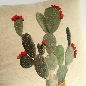 Cactus Cushion Nopal upper close up