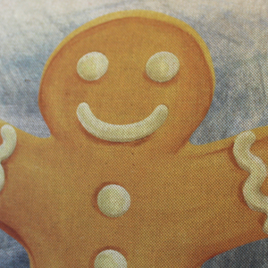 Gingerbread Man Cushion closeup face
