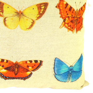 Multi butterfly cushion close up of four colourful butterflies
