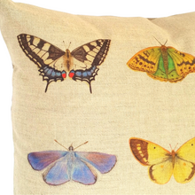 Load image into Gallery viewer, Multi butterfly cushion close up of four butterflies
