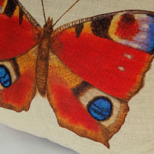 Load image into Gallery viewer, Peacock Butterfly Cushion close up
