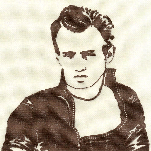 James Dean Rebel DMC cross stitch kit