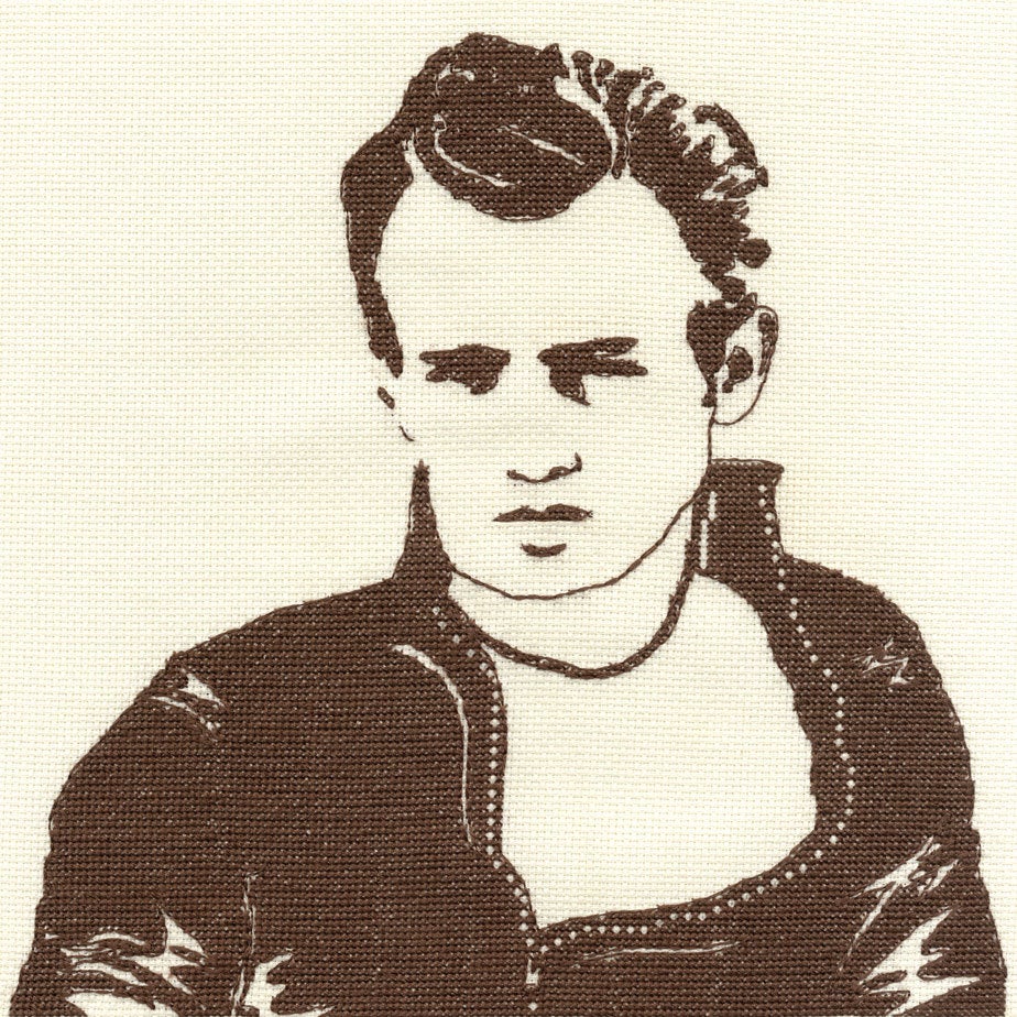 James Dean Rebel DMC cross stitch kit