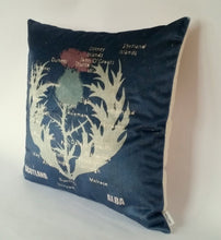 Load image into Gallery viewer, Thistle cushion
