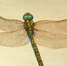 Load image into Gallery viewer, Dragonfly Cushion close up
