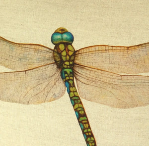 Dragonfly Cushion close up