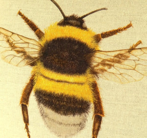 Bumblebee Cushion close up