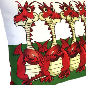 Welsh Rugby Dragons cushion close up